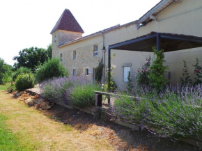 Beautiful holiday home with swimming pool